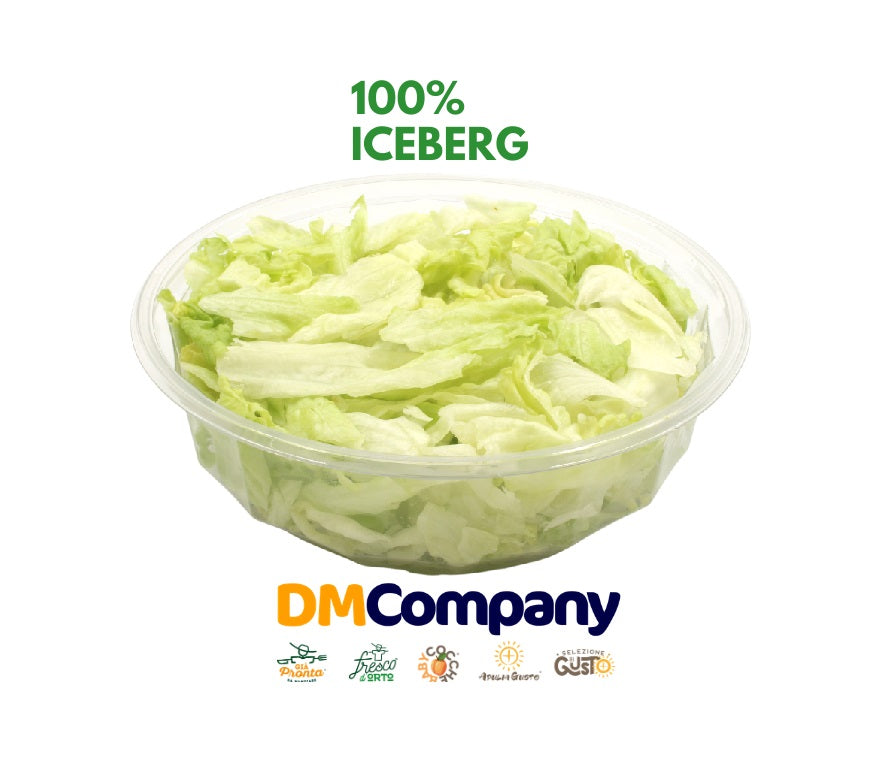 Insalata Iceberg gr 165 – Delizie della Puglia prodotti tipici pugliesi  online : Delizie dalla Terra di Puglia 