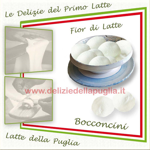 Speciali i Bocconcini di Latte le Mozzarelle di latte della Puglia, direttamente a casa tua freschi a temperatura controllata