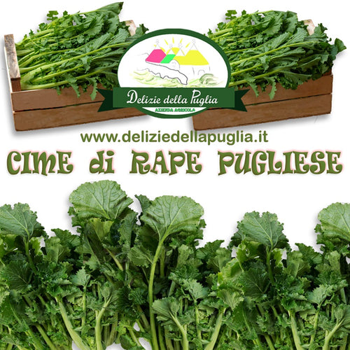 Ecco le Cime di Rapa fresche dalla Puglia in cassetta direttamente a casa tua Delizie della Puglia direttamente a casa tua prodotto tipico e Delizie della Puglia