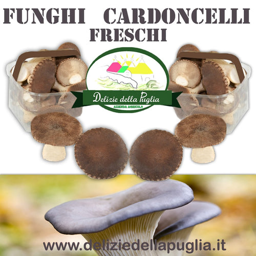 Ottimi i Funghi Cardoncelli freschi coltivati in confezione da 500gr dalla Puglia, direttamente a casa tua, prodotto tipico e vera Delizie della Puglia