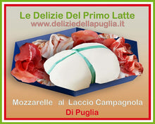 Carica l&#39;immagine nel visualizzatore di Gallery, Gustose e speciali le Mozzarelle al Laccio Campagnola della Puglia, con Latte Pugliese, prodotto caseario tra Andria, Altamura e Bisceglie, è una vera Delizia della Puglia
